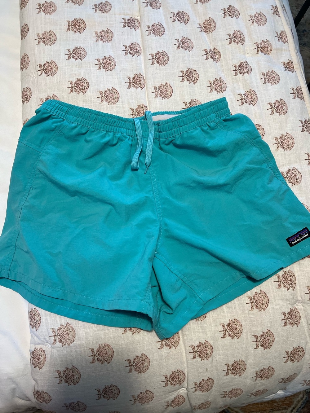 Patagonia Turquoise Swim Shorts